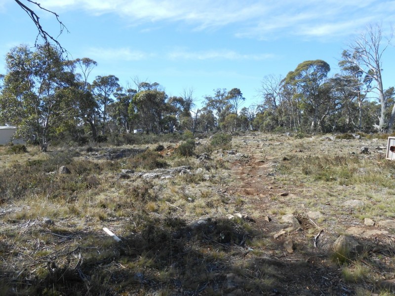 41 Cider Gum Road, Miena TAS 7030