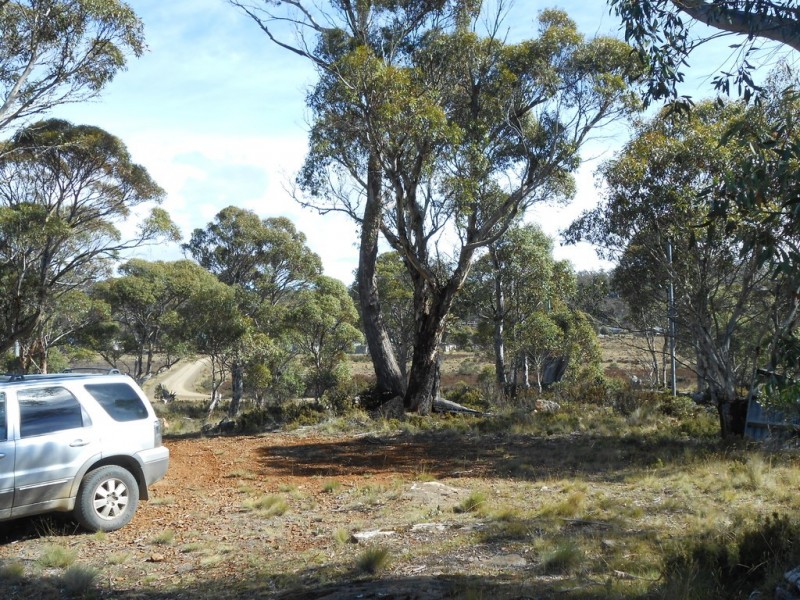 41 Cider Gum Road, Miena TAS 7030