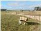 39 Badajos Street, Ross TAS 7209