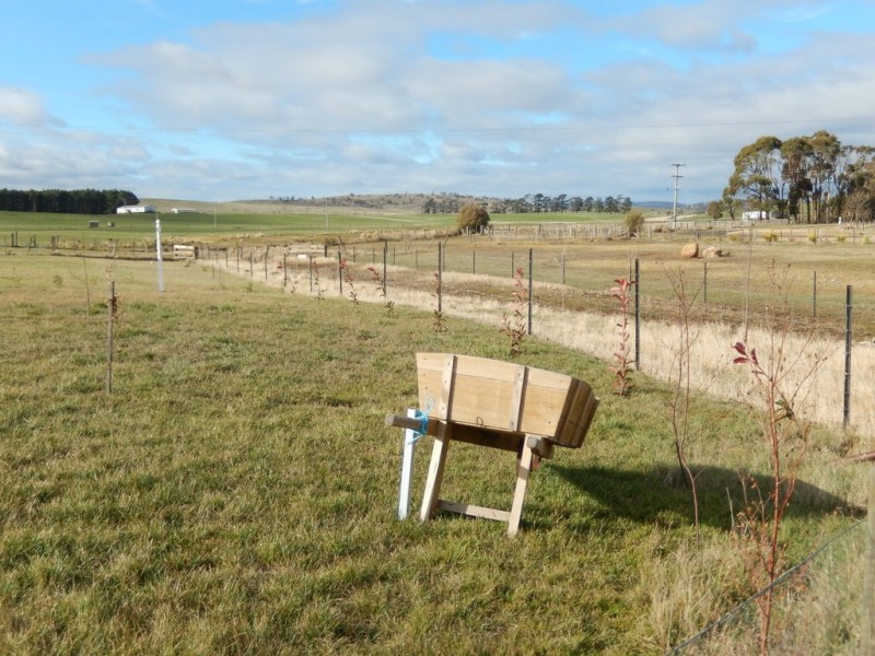 39 Badajos Street, Ross TAS 7209