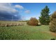 9 Waterloo Street, Ross TAS 7209