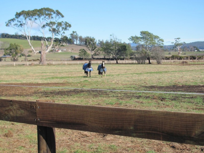 Lot 2 Veterans Row, Westbury TAS 7303