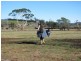 Lot 2 Veterans Row, Westbury TAS 7303