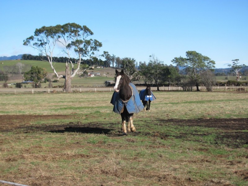 Lot 2 Veterans Row, Westbury TAS 7303
