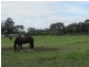 Lot 2 Veterans Row, Westbury TAS 7303