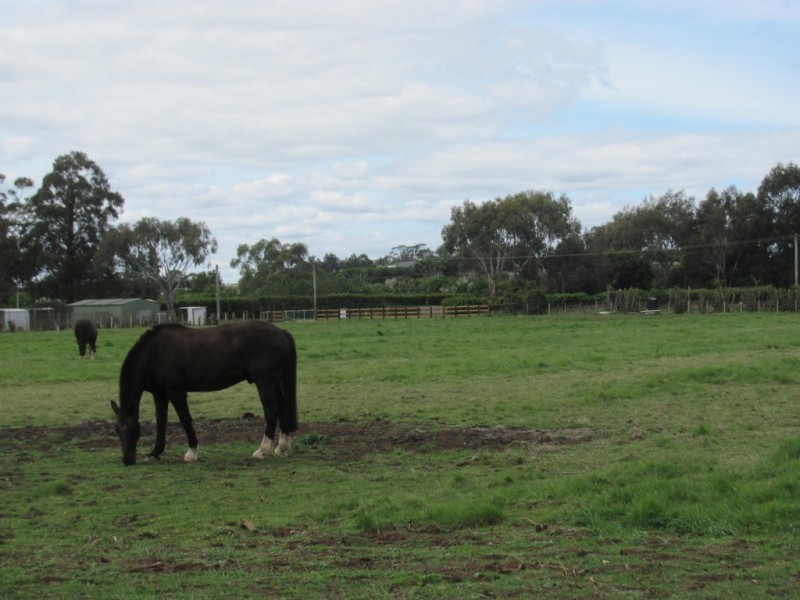 Lot 2 Veterans Row, Westbury TAS 7303