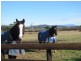 Lot 2 Veterans Row, Westbury TAS 7303