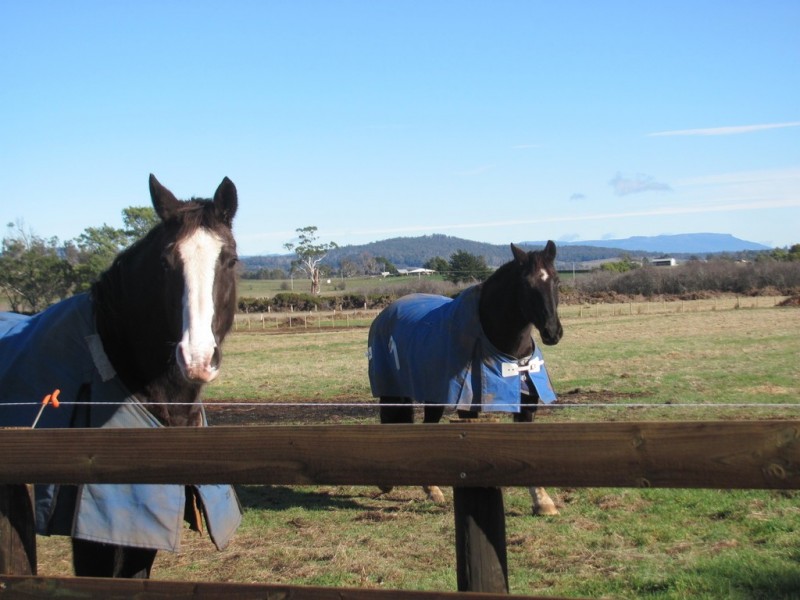 Lot 2 Veterans Row, Westbury TAS 7303