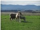 14638 Midlands Highway, Powranna TAS 7300