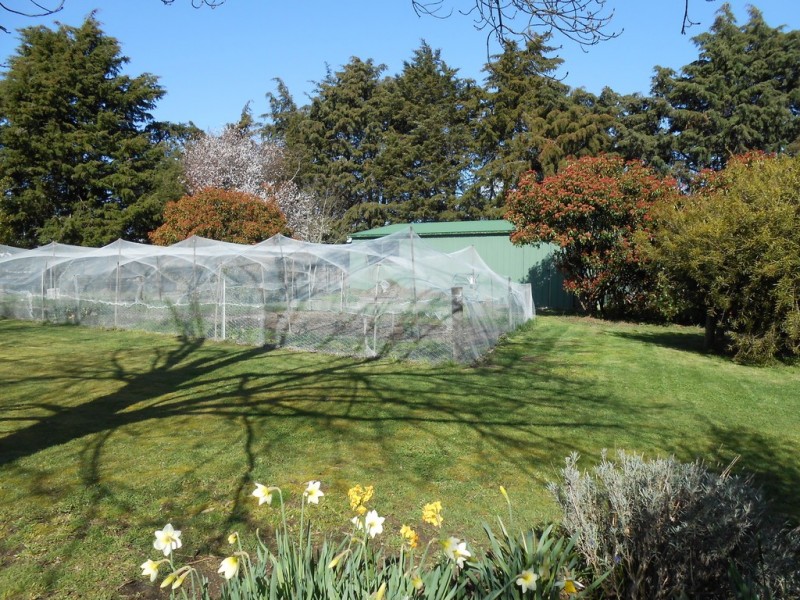 216 Leighlands Road, Evandale TAS 7212