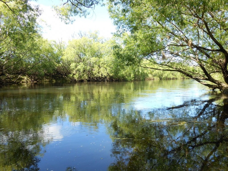 216 Leighlands Road, Evandale TAS 7212