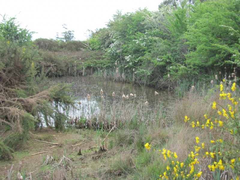 Lot 1 Pensioners Row, Westbury TAS 7303