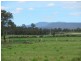 Lot 1 Pensioners Row, Westbury TAS 7303