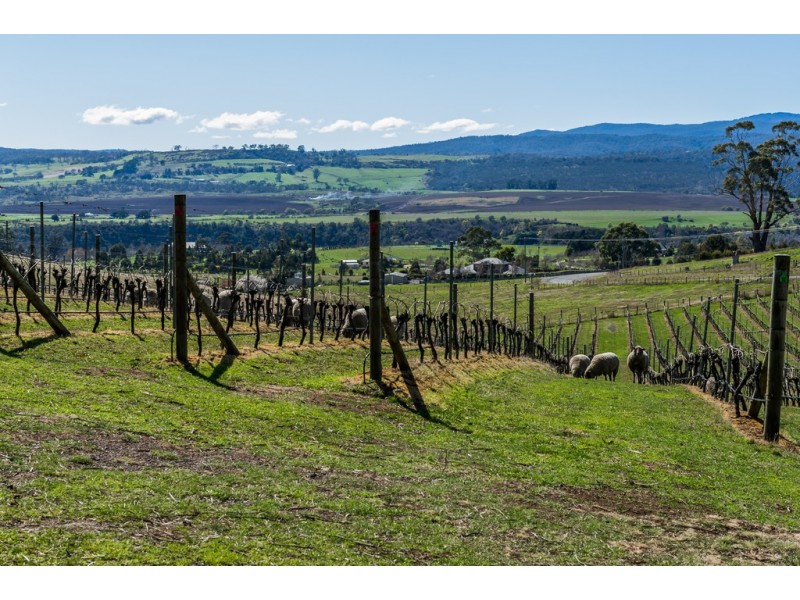 65 Correa Drive, Relbia TAS 7258