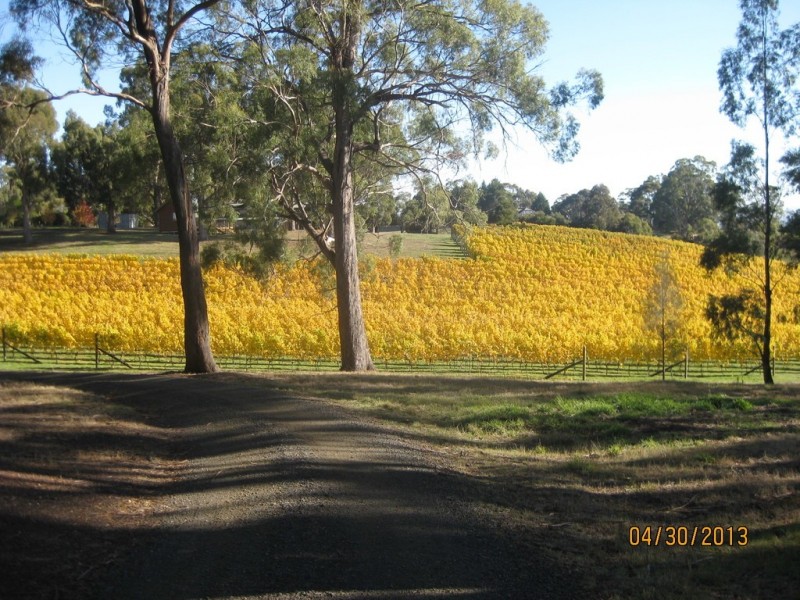 65 Correa Drive, Relbia TAS 7258