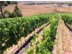 65 Correa Drive, Relbia TAS 7258