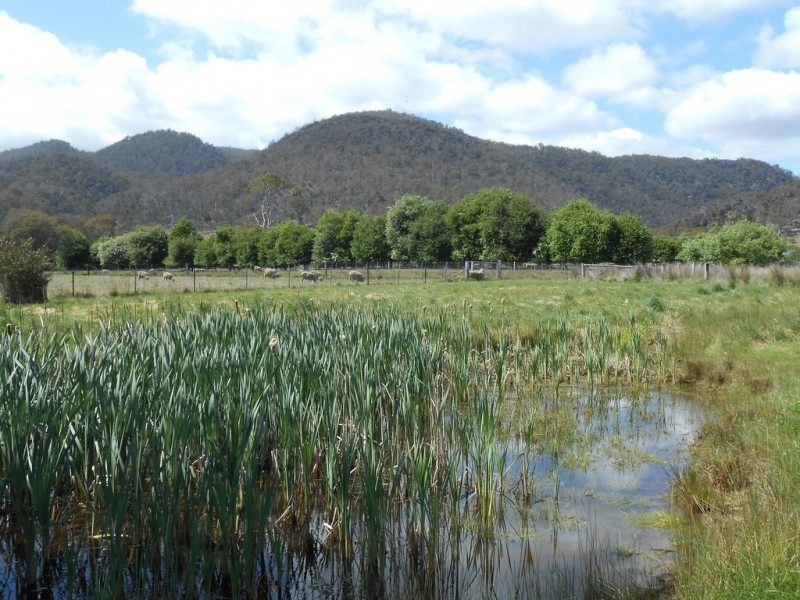 73 Pedder Street, Fingal TAS 7214