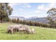 679 Gulf Road, Liffey TAS 7301