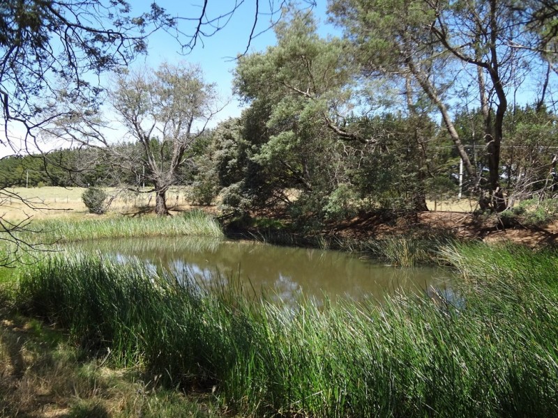 1658 Meander Valley Road, Carrick TAS 7291