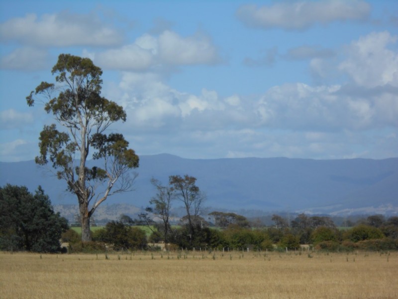 6A Jetson Court, Cressy TAS 7302