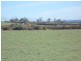 Lot 3 Wilmores Lane, Longford TAS 7301