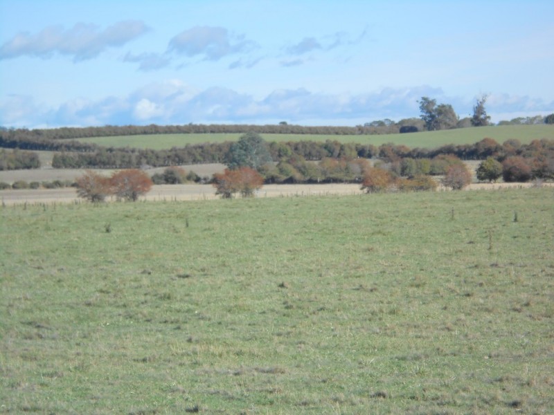 Lot 3 Wilmores Lane, Longford TAS 7301