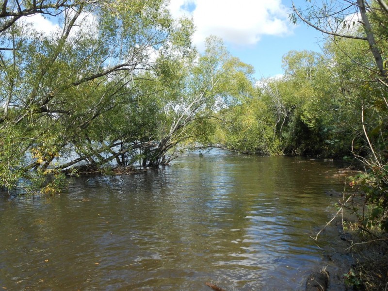 Lots 3 and 4A Mill Road, Perth TAS 7300