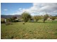 44-46 Falmouth Street, Avoca TAS 7213