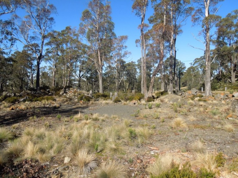 30 Johnsons Road, Miena TAS 7030