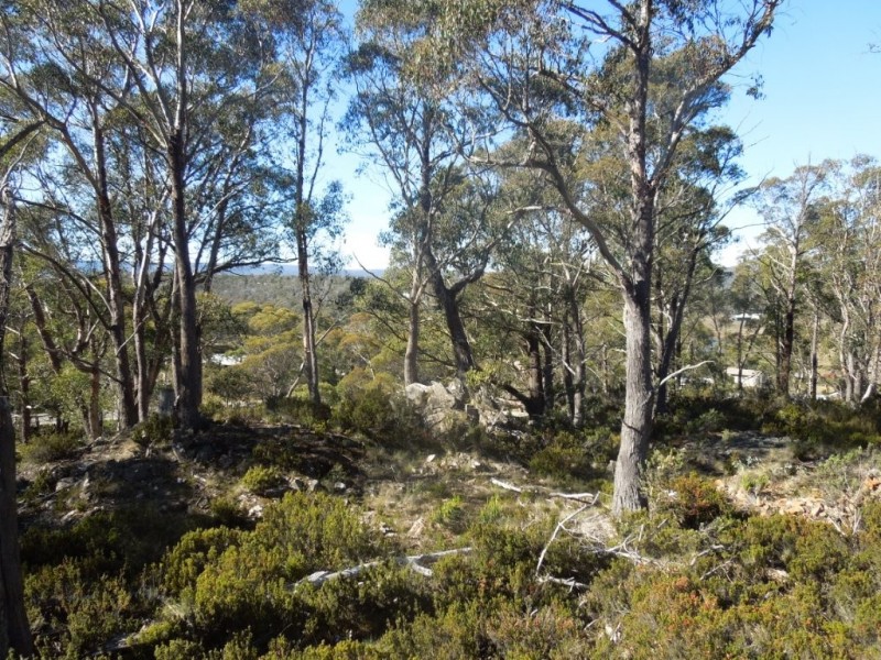 30 Johnsons Road, Miena TAS 7030