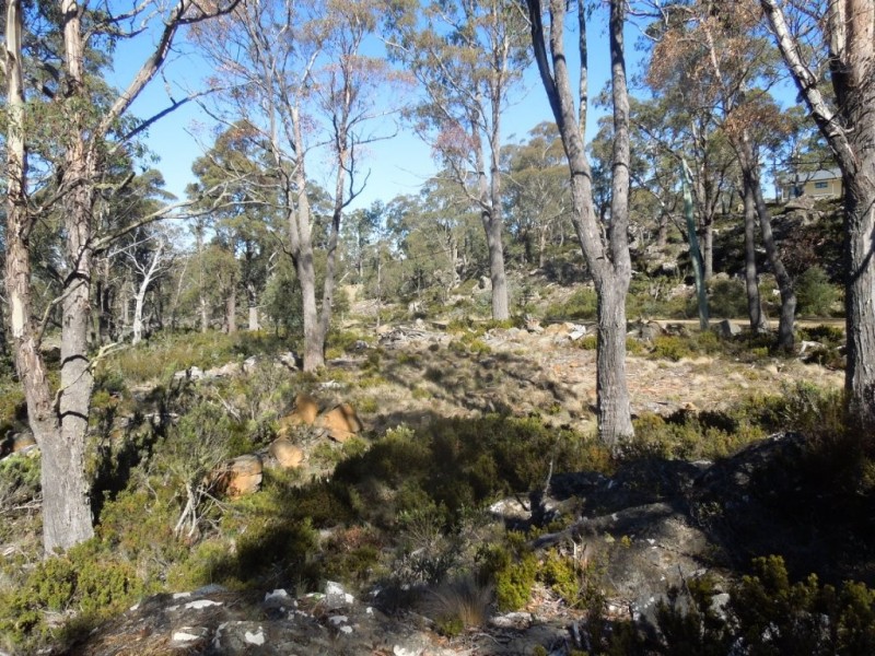 30 Johnsons Road, Miena TAS 7030