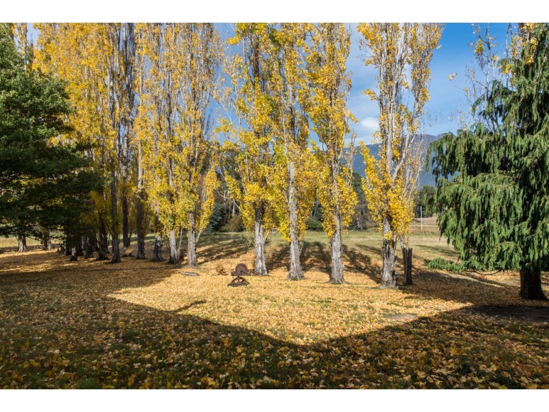 141 Myrtle Creek Road, Liffey TAS 7301