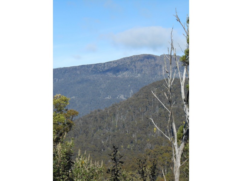 Lot 1 Myrtle Creek Road, Liffey TAS 7301