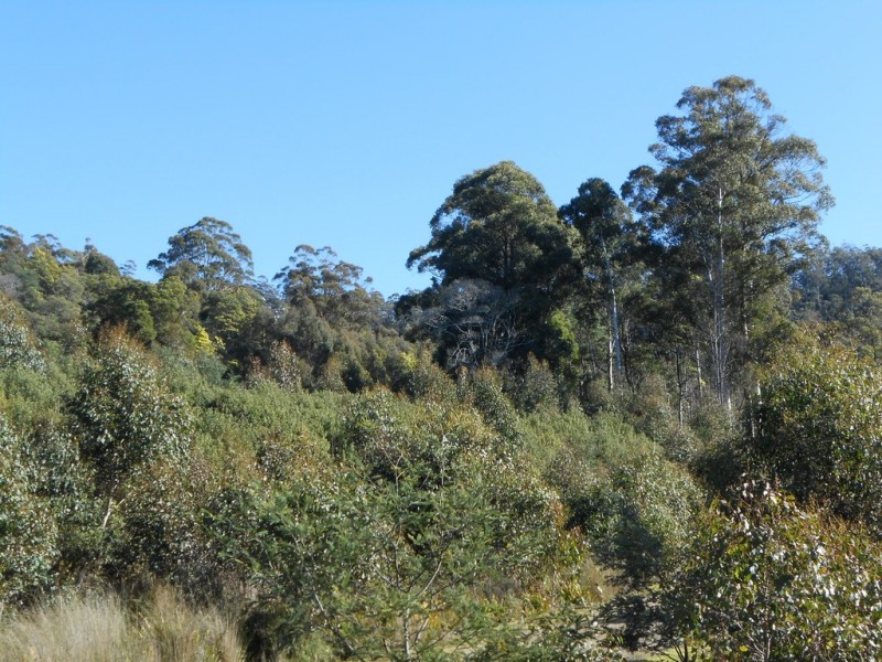 Lot 1 Myrtle Creek Road, Liffey TAS 7301