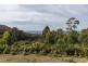 Lot 1 Myrtle Creek Road, Liffey TAS 7301