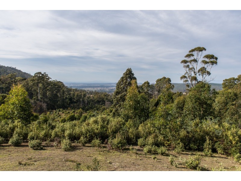 Lot 1 Myrtle Creek Road, Liffey TAS 7301