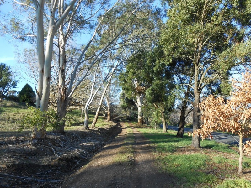 320 Mill Road, Perth TAS 7300