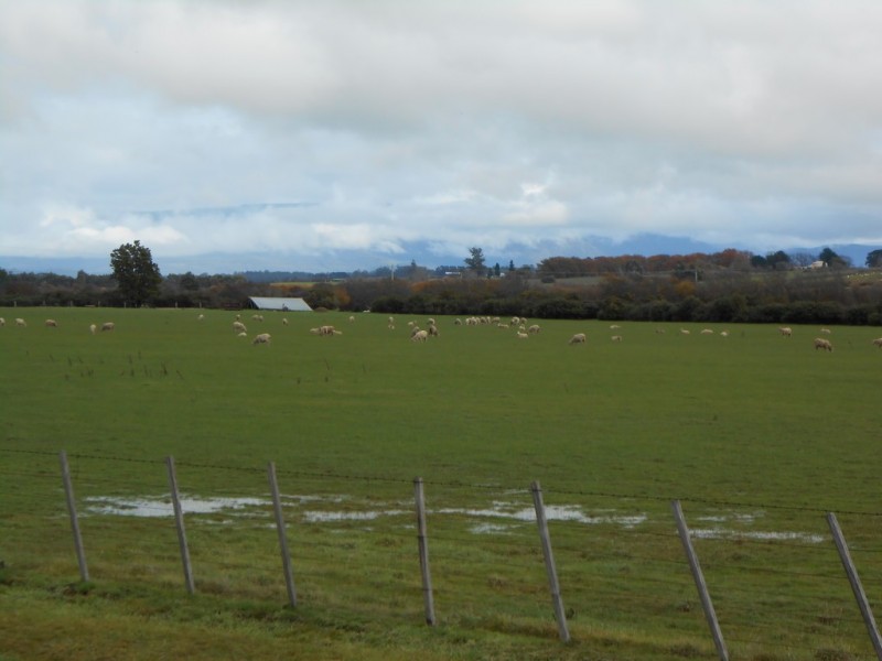 87 Catherine Street, Longford TAS 7301