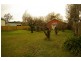 7 Clarence Street, Perth TAS 7300
