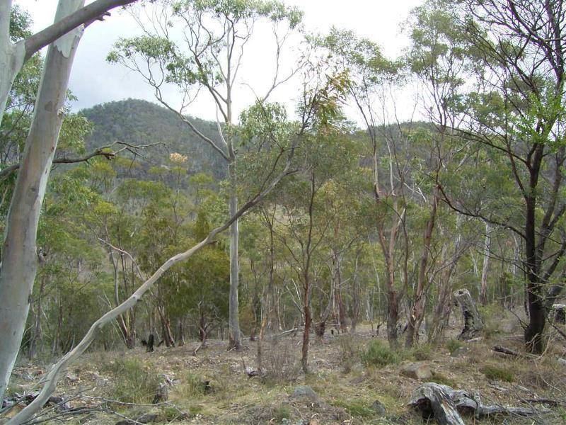 99 Glen Dhu Road, Molesworth TAS 7140