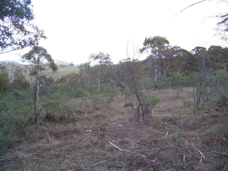 Lot 1 Kensington Street, New Norfolk TAS 7140