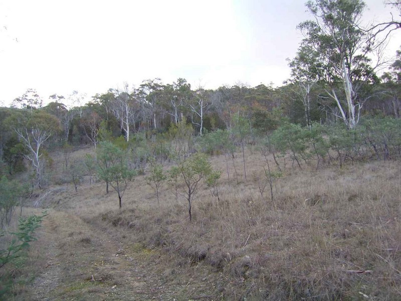 Lot 1 Kensington Street, New Norfolk TAS 7140