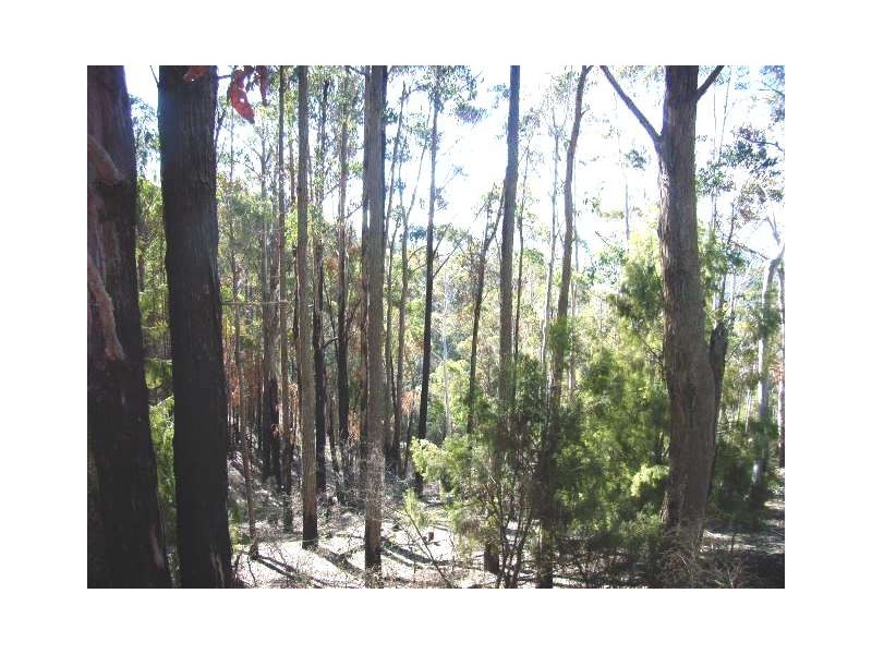 Lot 1  Mount Lloyd Road, Mount Lloyd TAS 7140