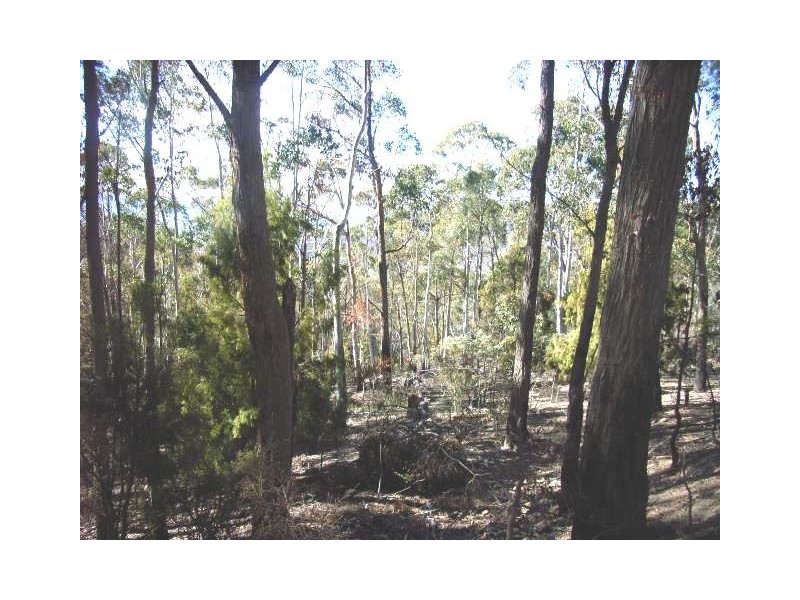 Lot 1  Mount Lloyd Road, Mount Lloyd TAS 7140