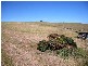 3247 Lyell Highway, Rosegarland TAS 7140