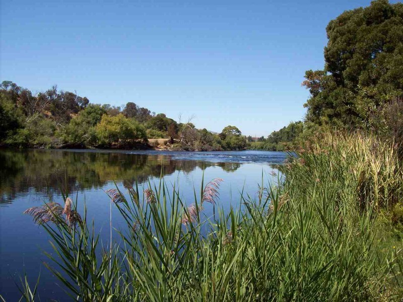 Meadowbank TAS 7140