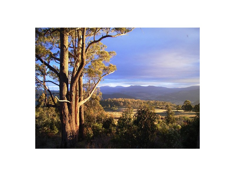 126 Braslins Road, Black Hills TAS 7140