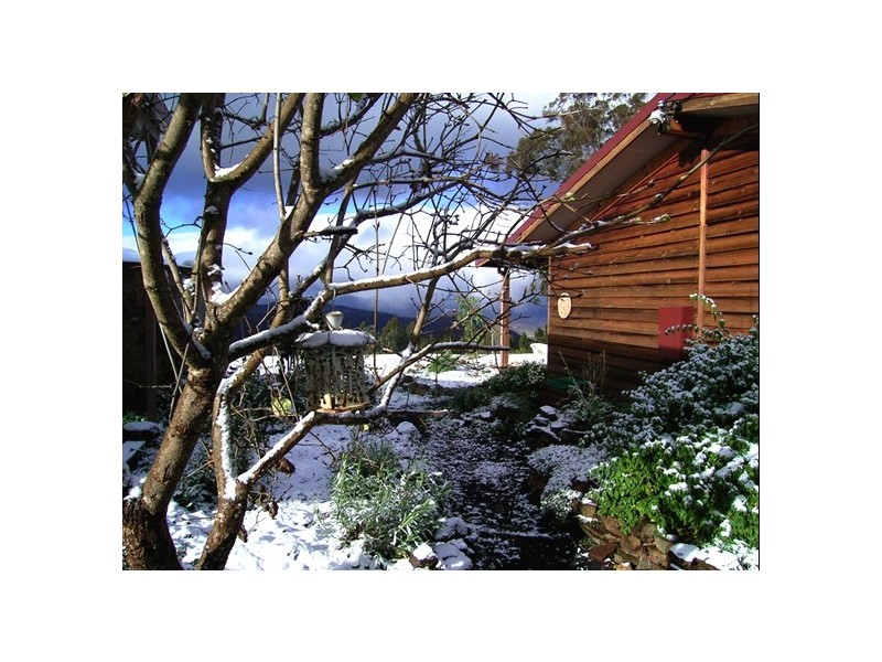 126 Braslins Road, Black Hills TAS 7140