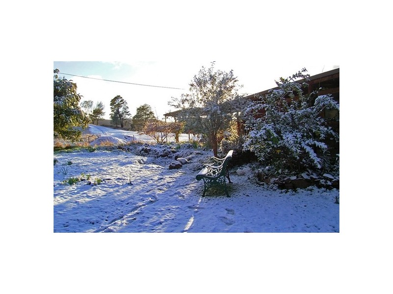 126 Braslins Road, Black Hills TAS 7140