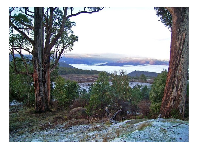 126 Braslins Road, Black Hills TAS 7140